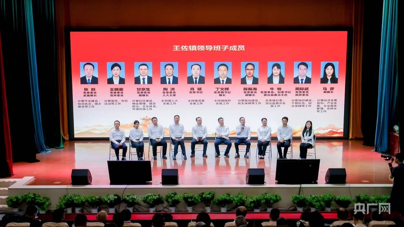 北京王佐镇召开2026年度向群众报告工作大会(图1)