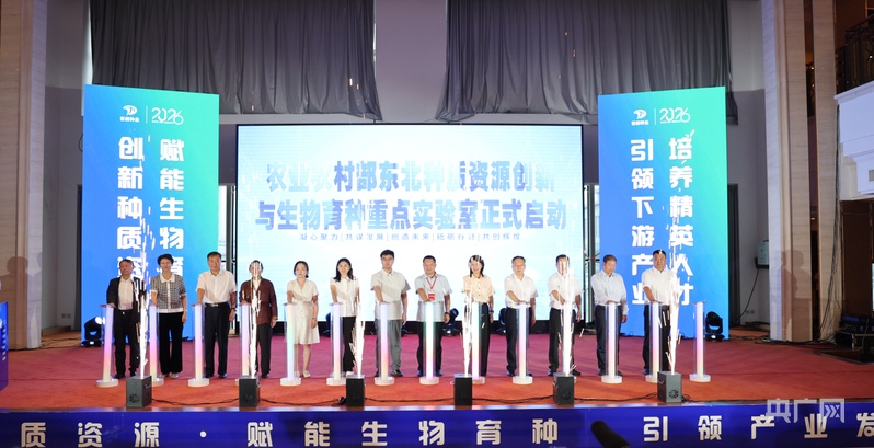中国饭碗·看龙江一粒良种的丰收答卷(图6)