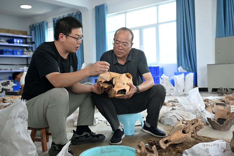 三十五载守文脉  匠心笃行护遗存