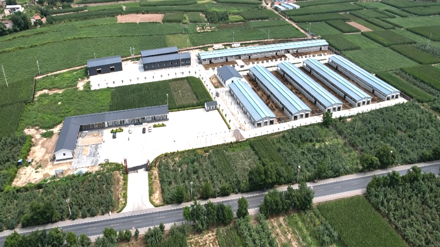 甘肃静宁:科技赋能“良种繁育”夯实群众“富民路”(图1)