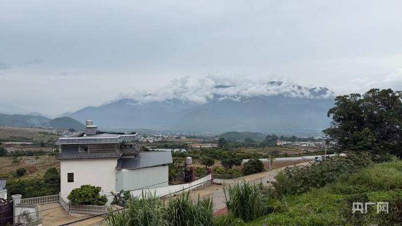 一杯咖啡里的山海协作：云南保山探索咖旅融合新路(图3)
