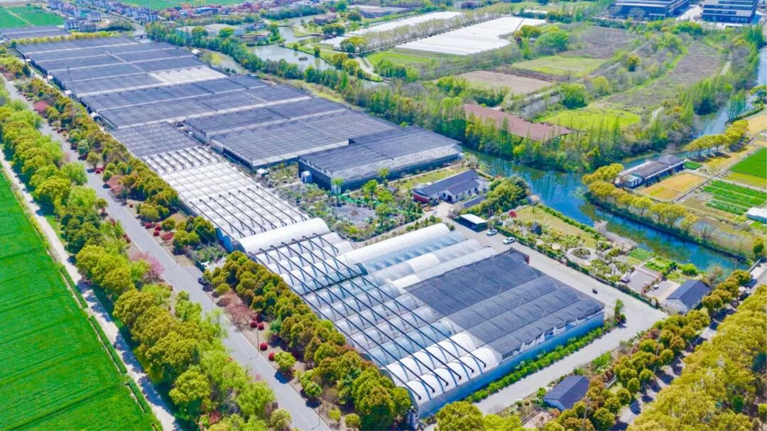 苏州唯一这家千灯农企的前沿技术研发项目获省级立项(图1)