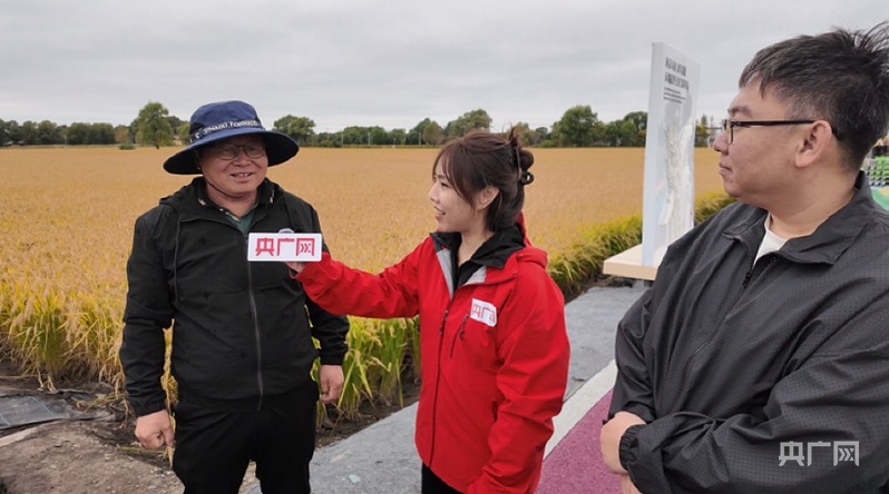 地标中国行·金秋绘丰收丨黑龙江:稻浪翻涌处黑土迎丰年(图2)