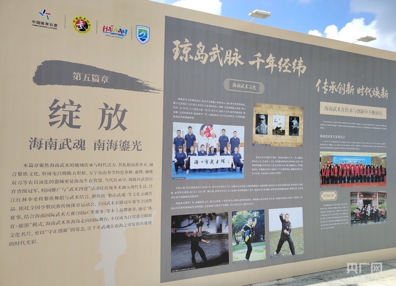 中国武术文化图片展在海口东坡老码头开展(图5)