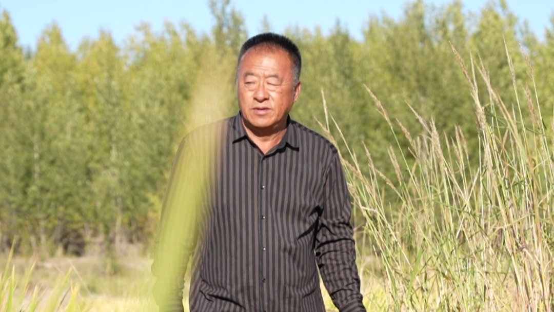 地标中国行丨一粒米的逆袭之路——“不宜耕种”的盐碱滩“种”出吉林水稻第一县(图6)