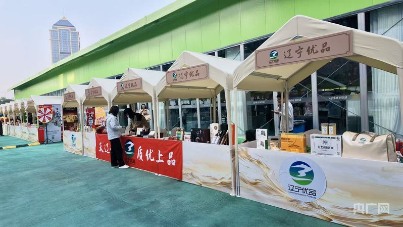 东北好生活群英会暨“辽宁五彩消费季·金秋消费月”在沈阳浑南启动(图3)