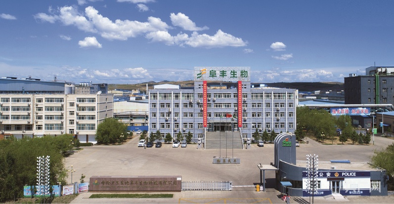 呼伦贝尔写好乡村“丰收答卷”(图3)