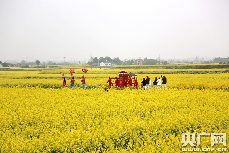 襄城县油菜花节2021图片