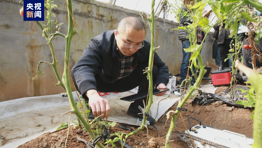 开元体育官方网站入口科技助力春耕 智慧农业技术来到田间地头(图2)