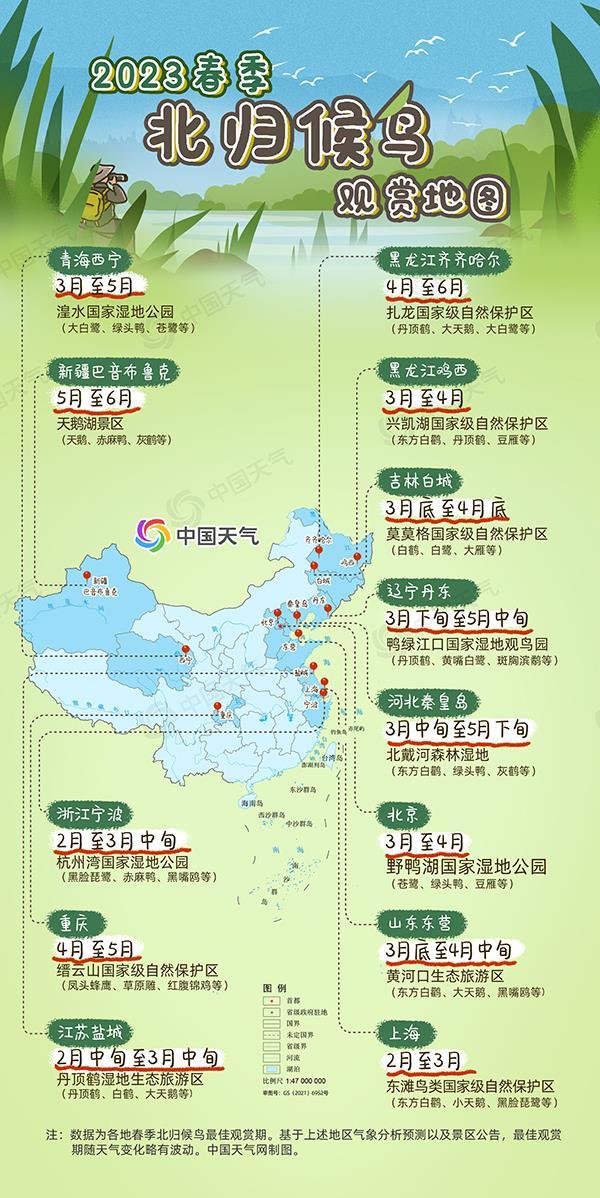 春风至候鸟归！2023春季候鸟观赏地图出炉 这些地方渐入佳期_央广网