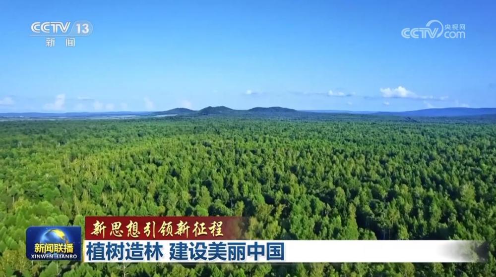 【新思想引领新征程】植树造林 建设美丽中国_央广网