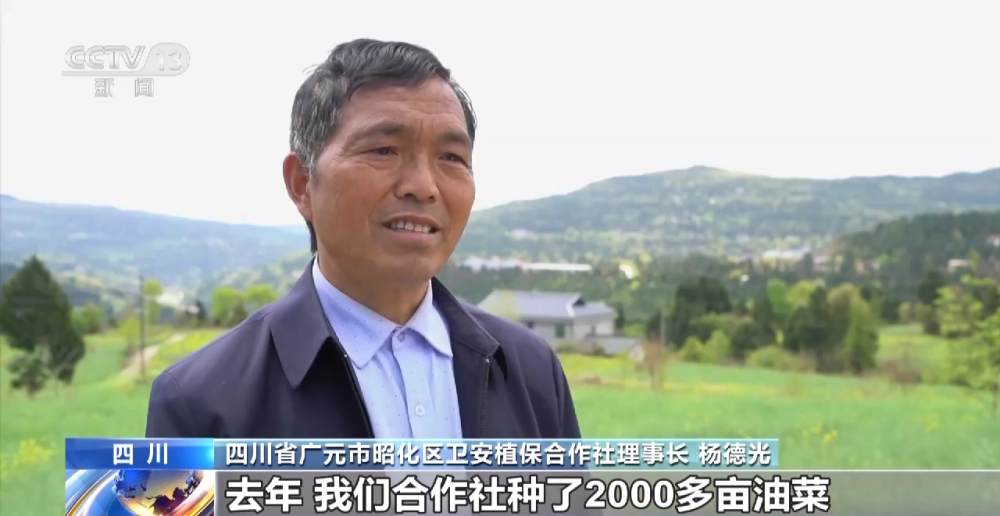 一线调研丨四川：小油菜串起大产业J9九游会 九游会J9(图12)