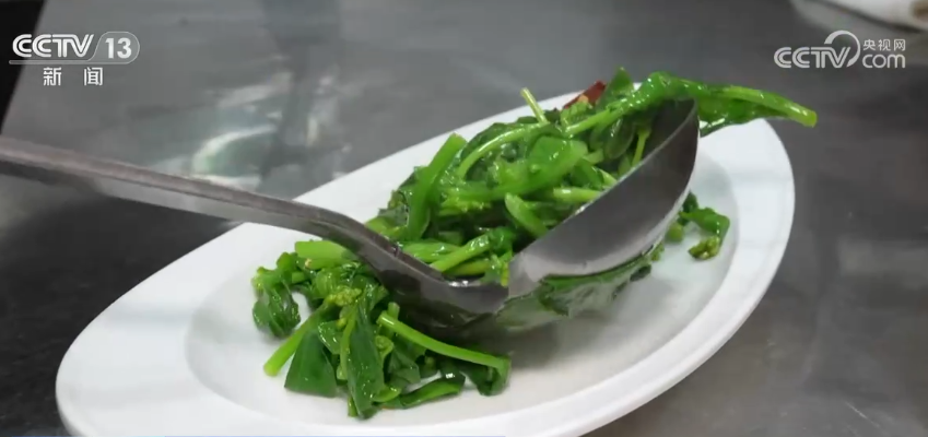 小油菜串起大产业 多环节齐发力促进高质量发展九游会J9 J9九游会(图4)