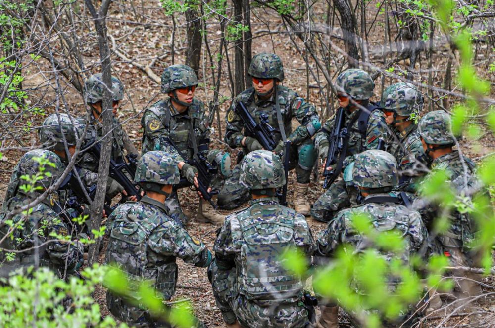 立体打击 梯次后撤:直击武警实战化战术演练_央广网