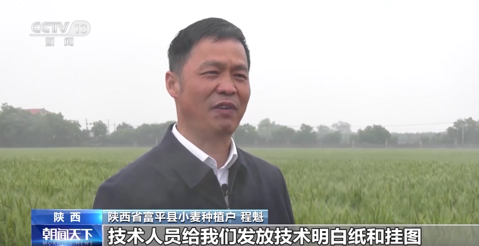 J9九游会 九游会J9农业农村部：全国已春播粮食完成意向面积超四成(图2)