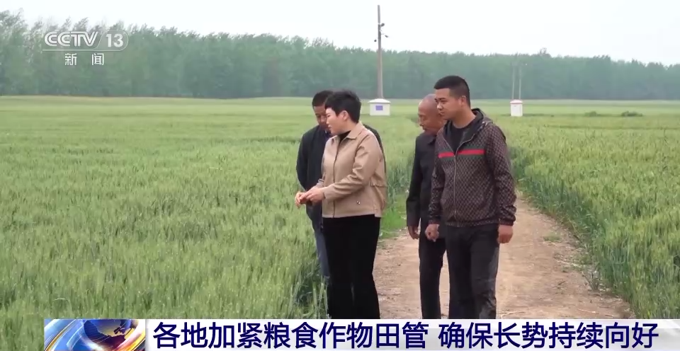 J9九游会 九游会J9农业农村部：全国已春播粮食完成意向面积超四成(图3)
