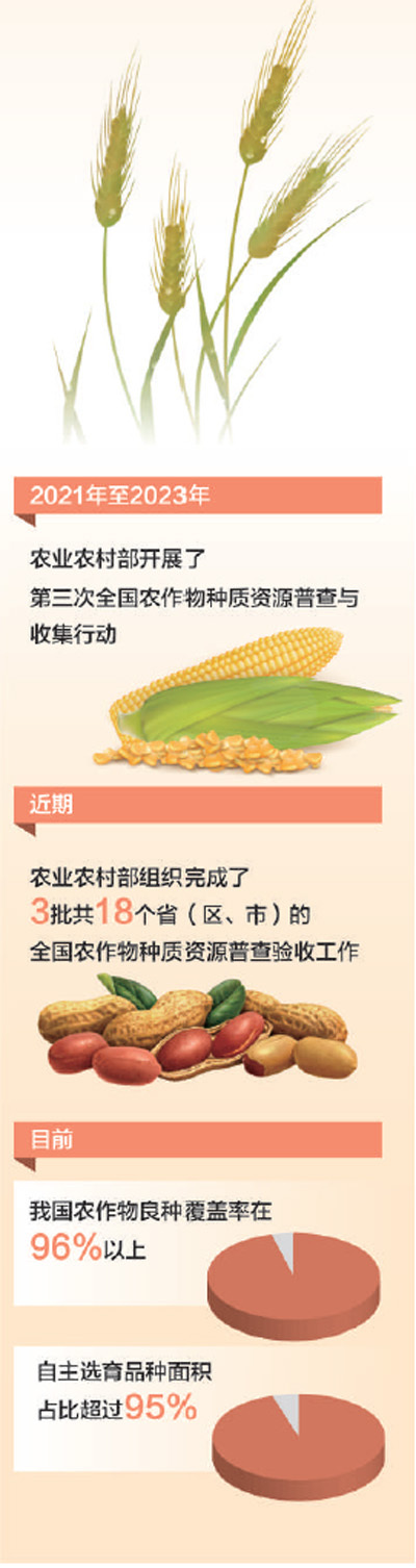 “把当家品种牢牢攥在自己手里”(深阅读·种业振兴在行动)_央广网