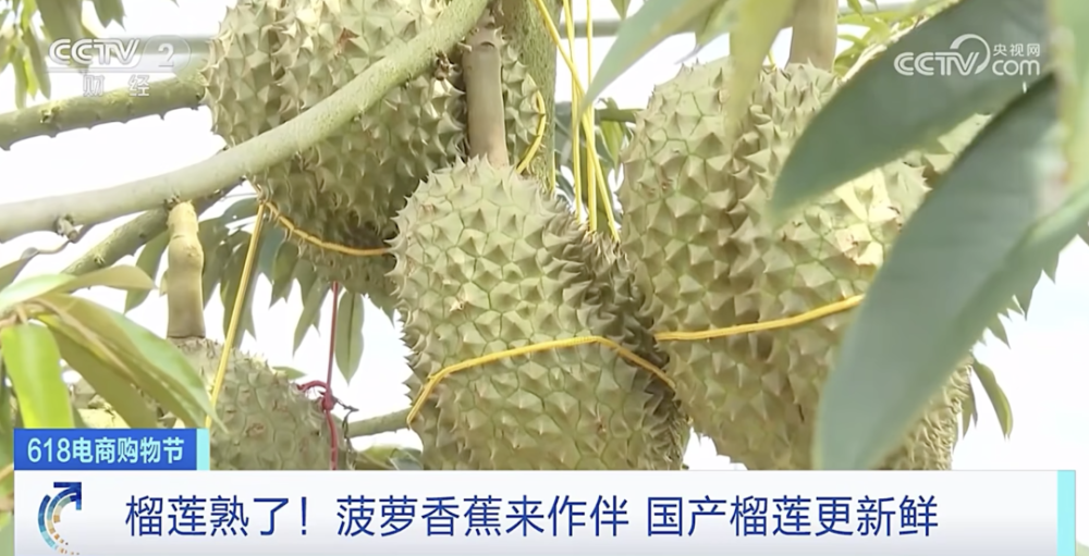 55a880be55674d739d41176229516c6910.png