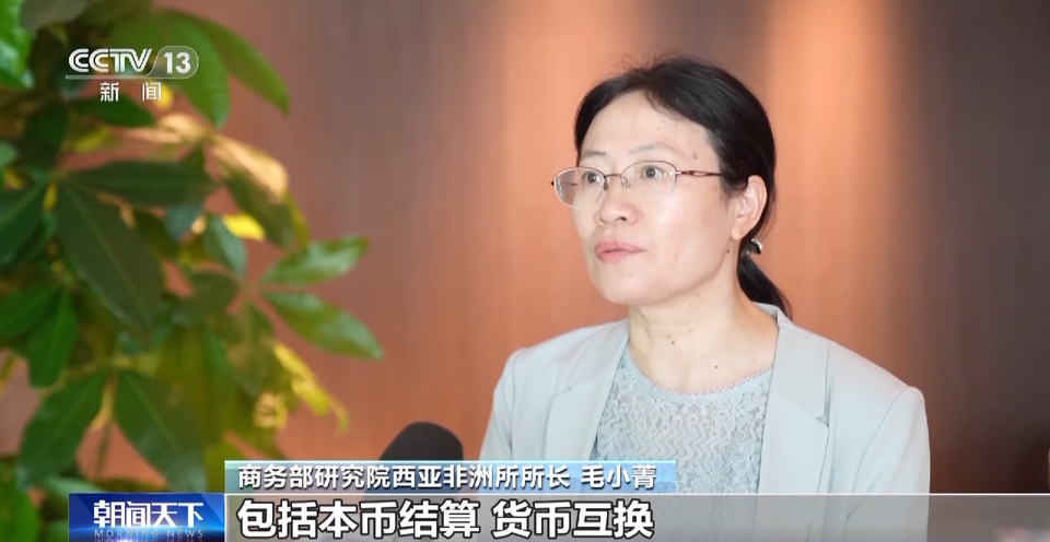 绿色,农业,金融……中非经贸在这个博览会不断延伸新领域