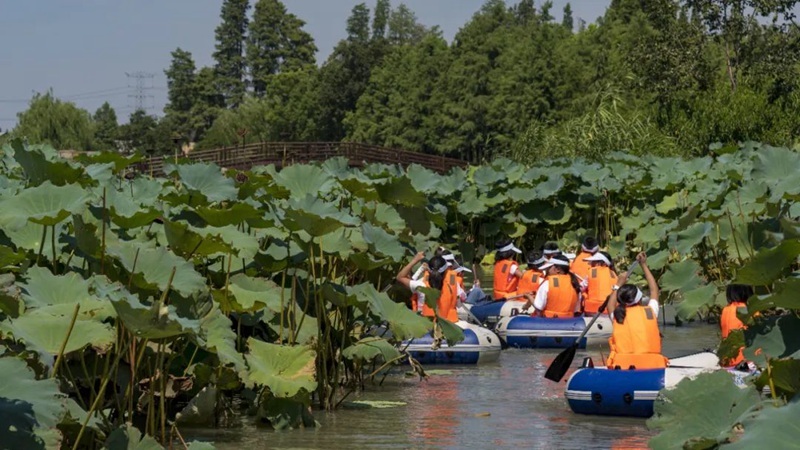 乌村夏令营莲池竞渡。受访者供图