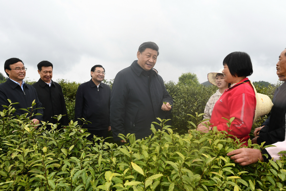 2020年4月21日,习近平总书记在陕西省安康市平利县老县镇蒋家坪村女娲