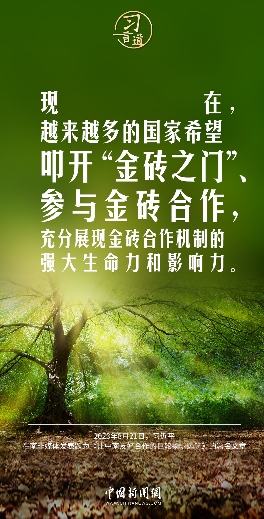 习言道当今世界需要的是和平不是冲突