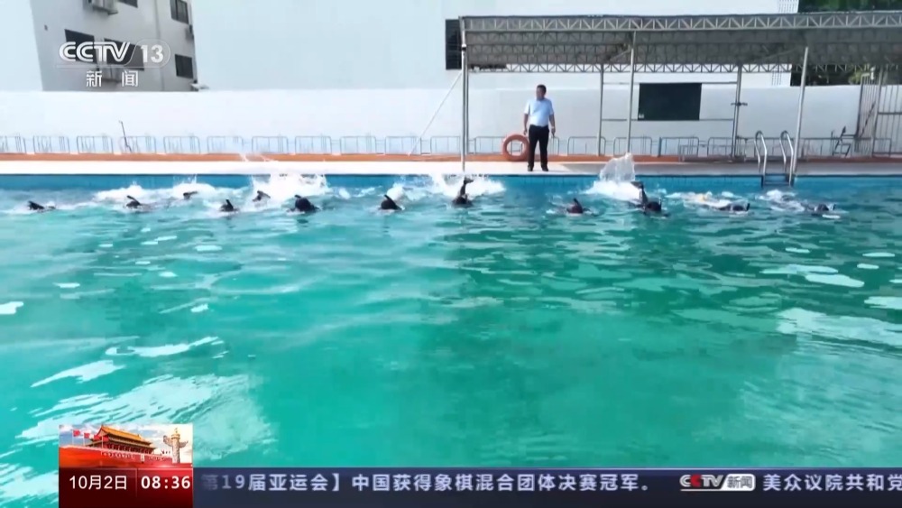 挺进深海三千米丨我国海洋油气装备实现跨越式发展(图4)