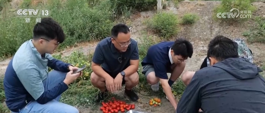 开云真人“新农具”“新要素”农人”……数字技术赋能新疆农业 提升土地利用精准度(图1)