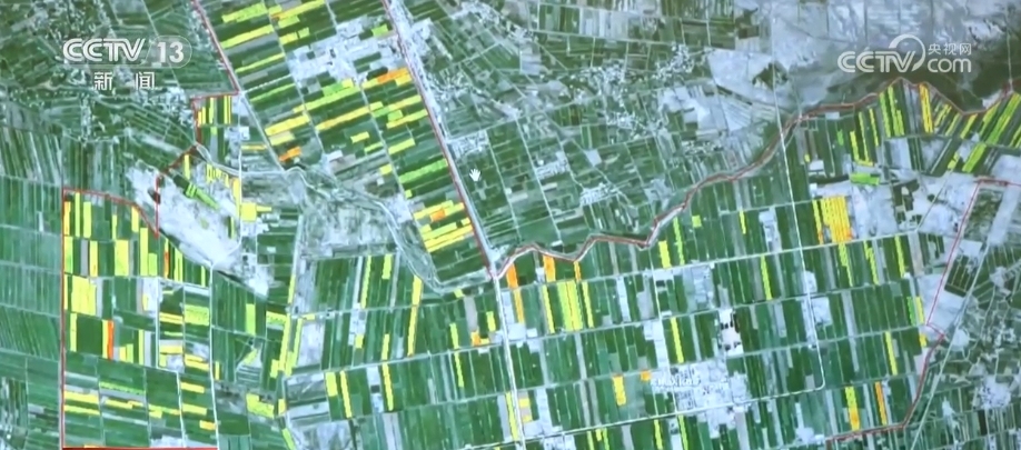 开云真人“新农具”“新要素”农人”……数字技术赋能新疆农业 提升土地利用精准度(图4)