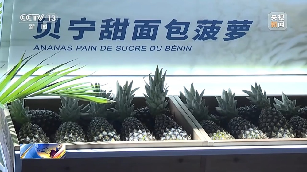 完美电竞水果清单上新了！非洲贝宁菠萝开启中国首秀