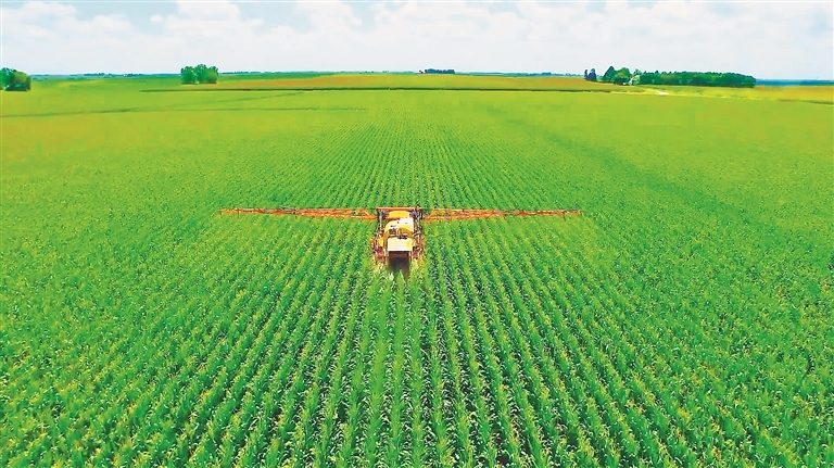 "鲜"的价值  产业集群赋能  县域经济高质量发展位于青冈县建设乡双义