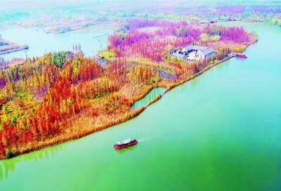 生态修复山水相融 科技驱动产业升级——江苏徐州探索资源型城市转型高质量发展新路子_央广网