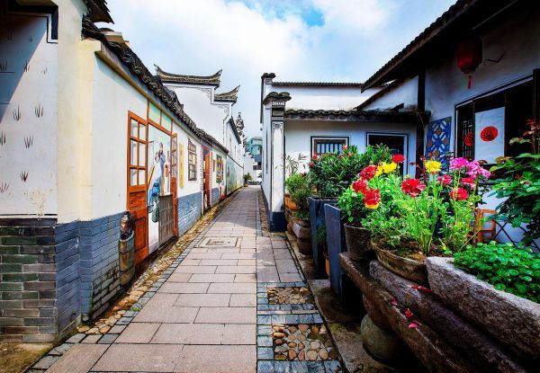 完美体育【大国新村：沿着总的足迹】浙江李祖：“水牛角村”的蝶变密码(图2)