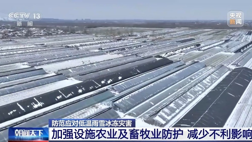 应对低温雨雪冰冻灾害 各地多措并举保障农作物安全过冬_央广网