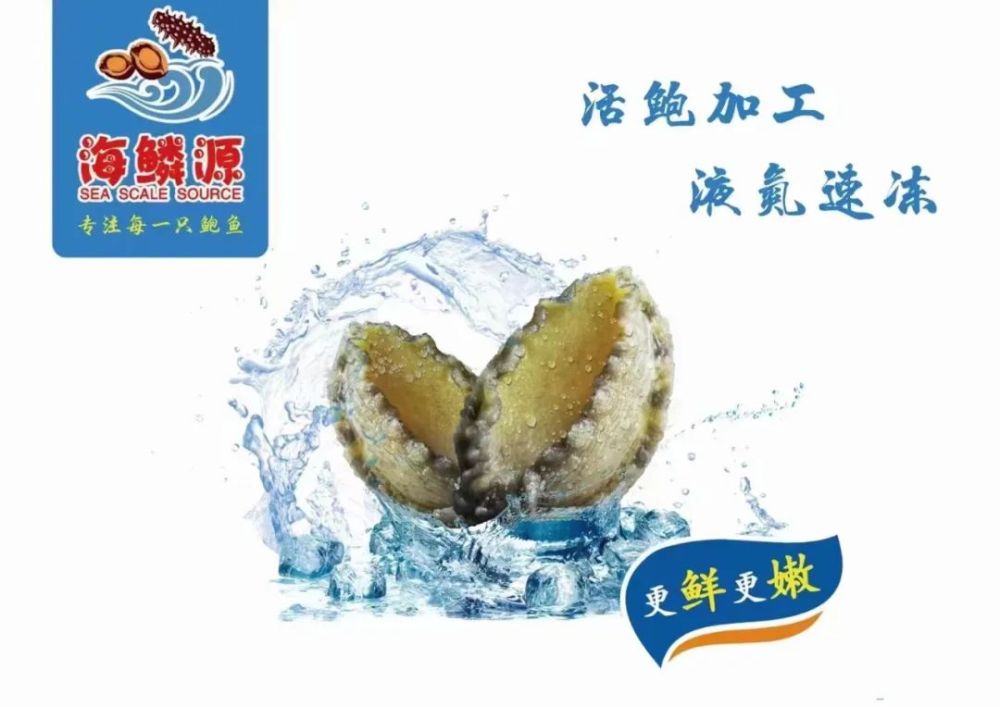 连江鲍鱼批发行业的最新趋势与机遇