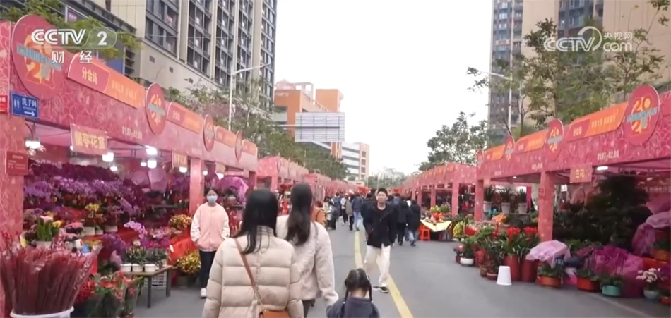 多地花市“花团锦簇”人气旺 姹紫嫣红中涌动浓浓春意(图12)