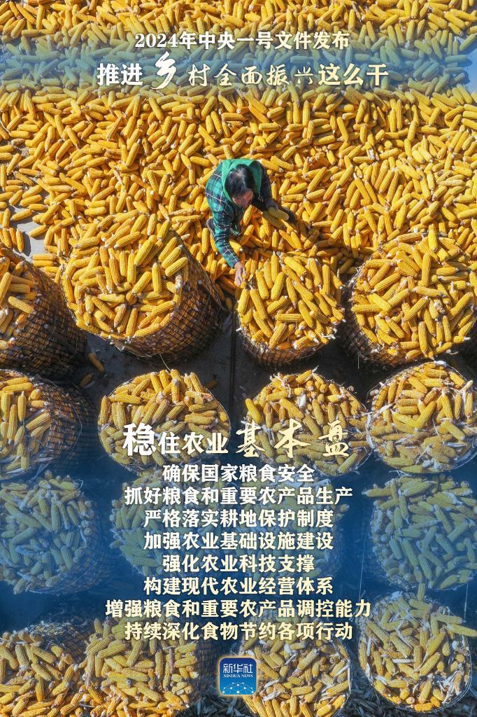 2024年中央一号文件:推进乡村全面振兴这么干