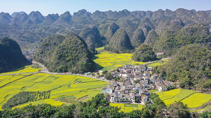 兴义油菜花最佳地点图片