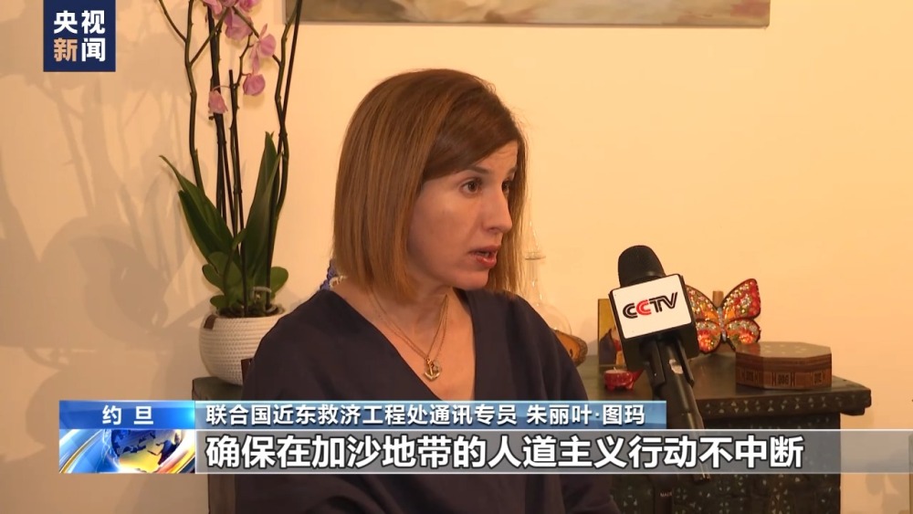 联合国近东救济工程处呼吁各国恢复资助该机构_央广网