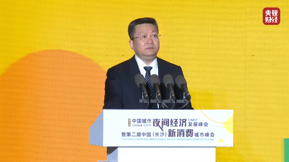 消费向新经济向前2024夜经济和新消费峰会成功举办