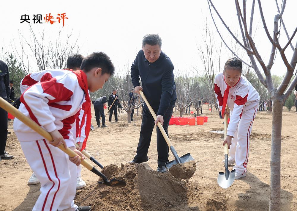 央視快評(píng)丨全民植樹(shù)增綠 共建美麗中國(guó)