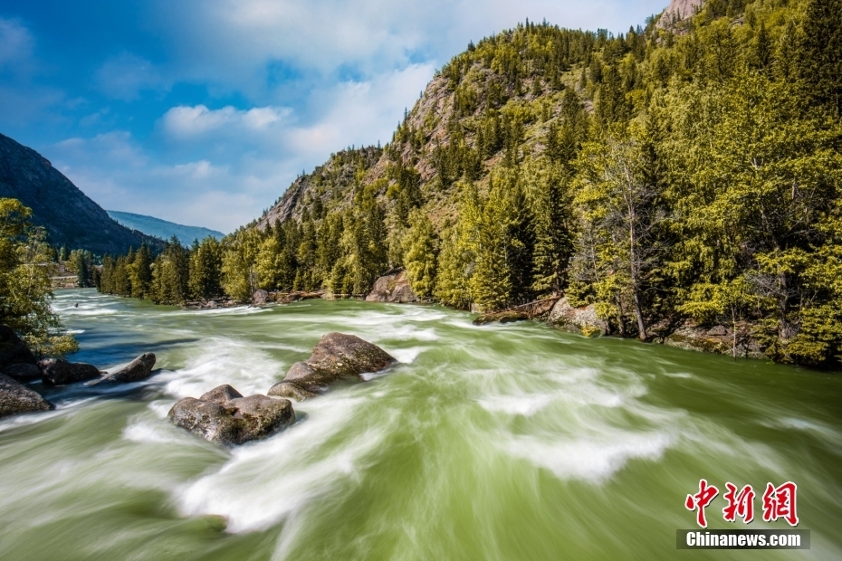 【这个城市有点潮】阿勒泰:从夏牧场出发,探寻北疆之北的人间仙境