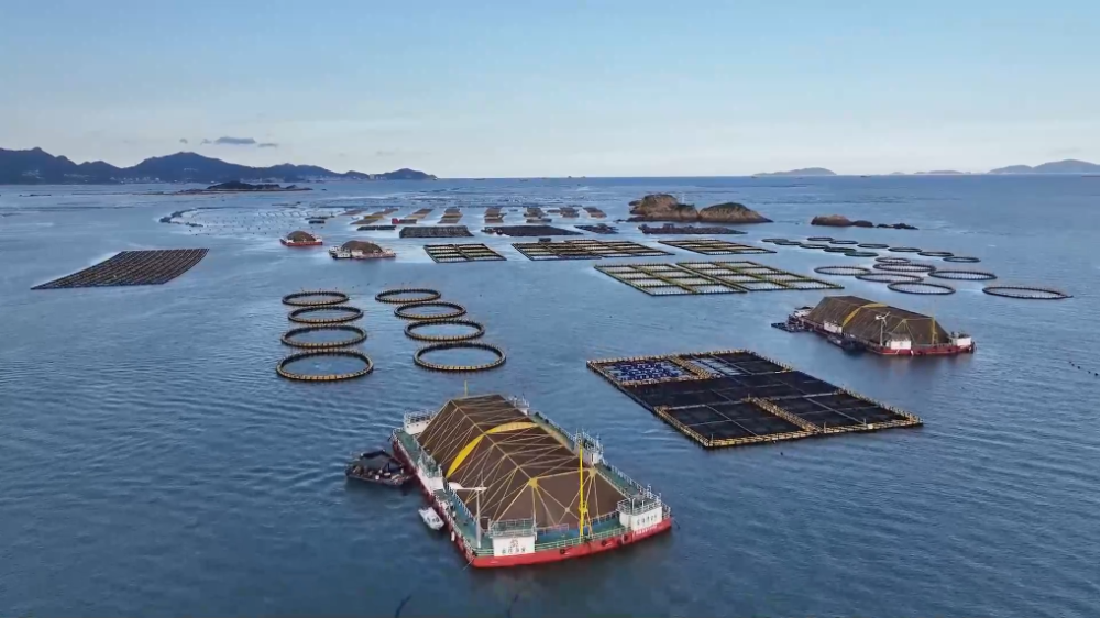 智能化"海上粮仓"加速崛起