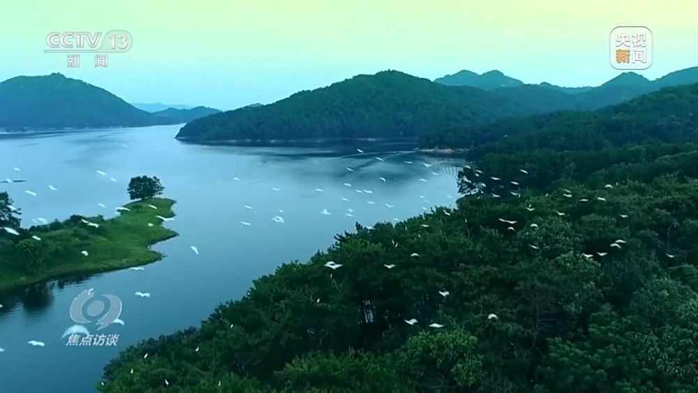 完美电竞焦点访谈丨十年光景 罗山县如何蝶变“白鸟乐园”(图15)