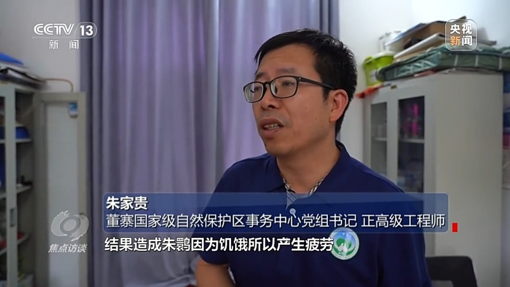 完美电竞焦点访谈丨十年光景 罗山县如何蝶变“白鸟乐园”(图3)