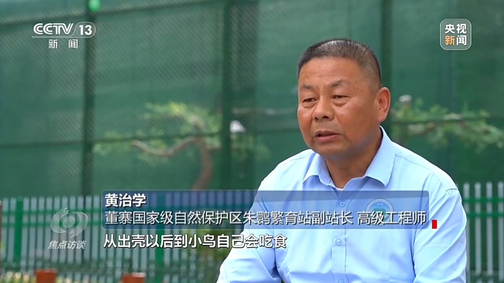 完美电竞焦点访谈丨十年光景 罗山县如何蝶变“白鸟乐园”(图2)