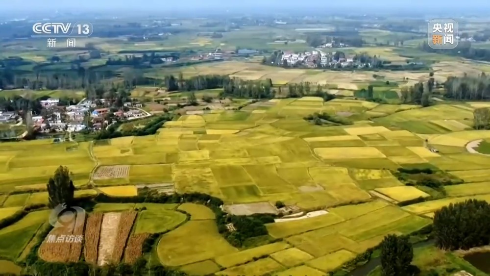 完美电竞焦点访谈丨十年光景 罗山县如何蝶变“白鸟乐园”(图5)