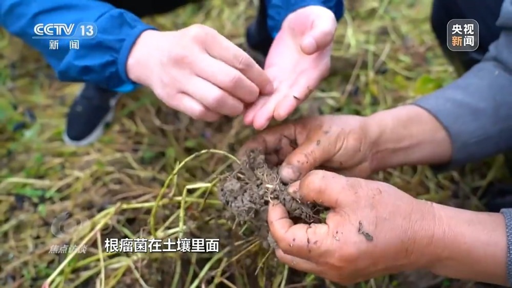 完美电竞焦点访谈丨十年光景 罗山县如何蝶变“白鸟乐园”(图7)