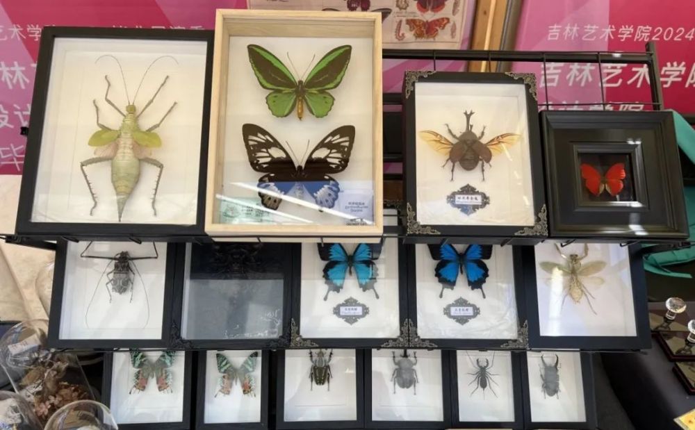 艺术不毕业 云山集里的青春密码