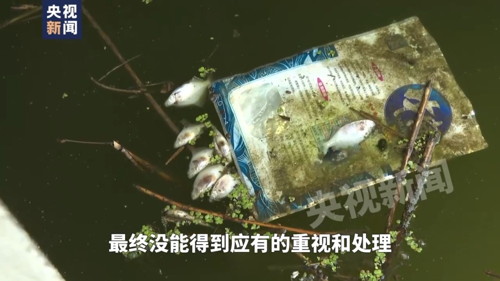 总台记者追踪滁河污染真相